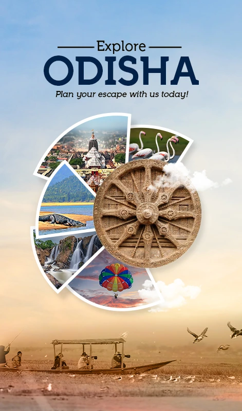 Custom Gujarat Tour Packages
